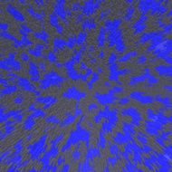 colorful background N23