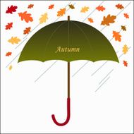 Umbrella autumn