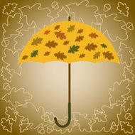 Umbrella autumn N2