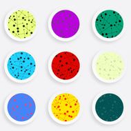set of abstract colorful floral plate pattern for design