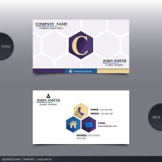 Abstract creative business card Vector N13
