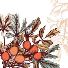 Hand Drawn floral background N15
