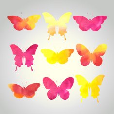 watercolor butterflies set