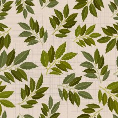 seamless texture of bay leaf