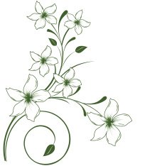 flower decorative elementhd design
