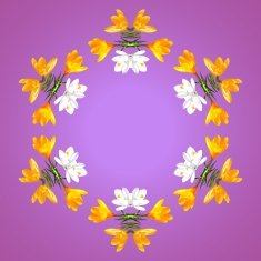 Wreath of spring flowers crocus N2