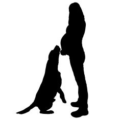 Vector silhouette of the woman N16