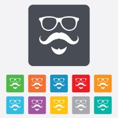 Mustache and Glasses sign icon Hipster symbol N5