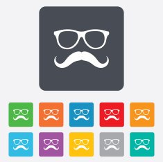 Mustache and Glasses sign icon Hipster symbol N6
