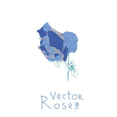 Rose N4