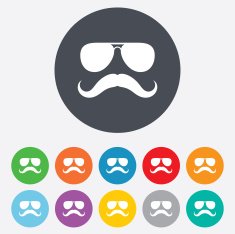 Mustache and Glasses sign icon Hipster symbol N9