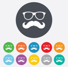 Mustache and Glasses sign icon Hipster symbol N15