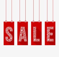 Winter Sale N10