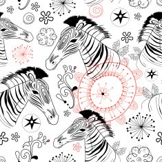 Male zebra isolated on white background