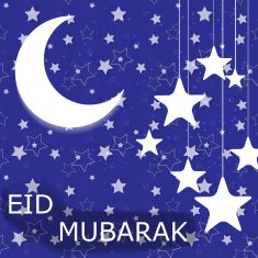 Moon Background for Muslim Community Festival Vector Illustratio N8