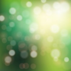 bokeh background N8
