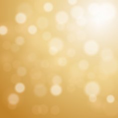 bokeh background N13