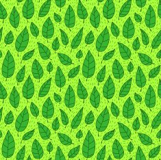 Green fallen leaves N2
