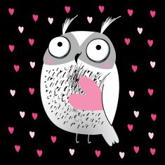love the owl N2