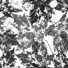 Seamless background with leaves Black and white endless pattern N3