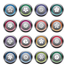 Flowers Icons