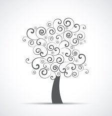 Tree N19