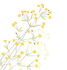 Flowers N119