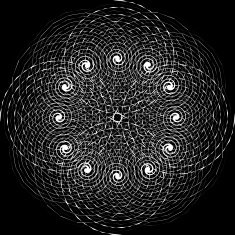 Black and White Abstract Psychedelic Art Background Vector Illu N11