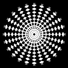 Black and White Abstract Psychedelic Art Background Vector Illu N15