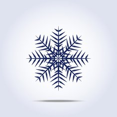 Snowflake icon Vector illustration