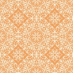 Seamless pattern with ethnic lace ornament N7