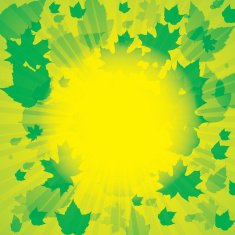 Autumn abstract background with leaf N2