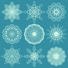 Floral Lace N2