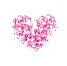 Watercolor heart N11