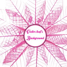 Skeletal leave with white background N2