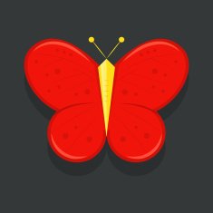butterfly N27