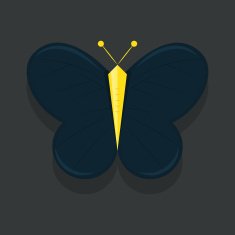 butterfly N29