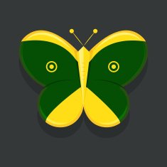 butterfly N31