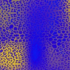 colorful textures of leopard
