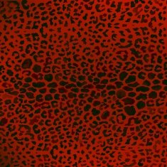 colorful textures of leopard N3