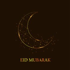 Moon Background for Muslim Community Festival Vector Illustratio N11
