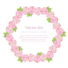 Elegant pink roses N5