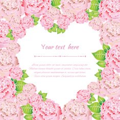 Elegant pink roses N8