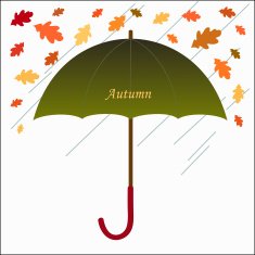 Umbrella autumn
