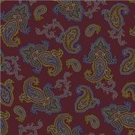 pattern paisley N76