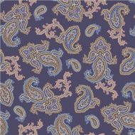 pattern paisley N79