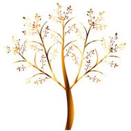 Olive Tree N8