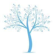Olive Tree N9