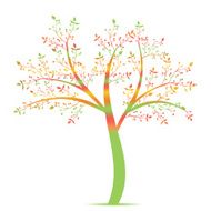 Olive Tree N10