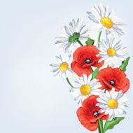 Elegance background with poppy and camomile flowers -Illustration
